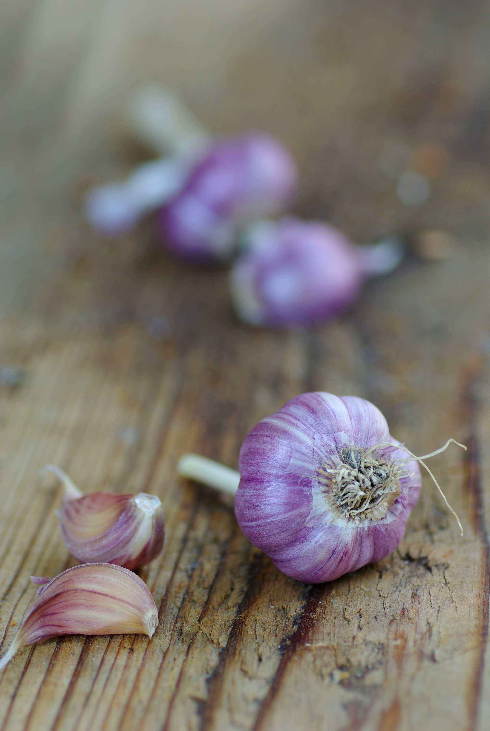 Knoblauch
