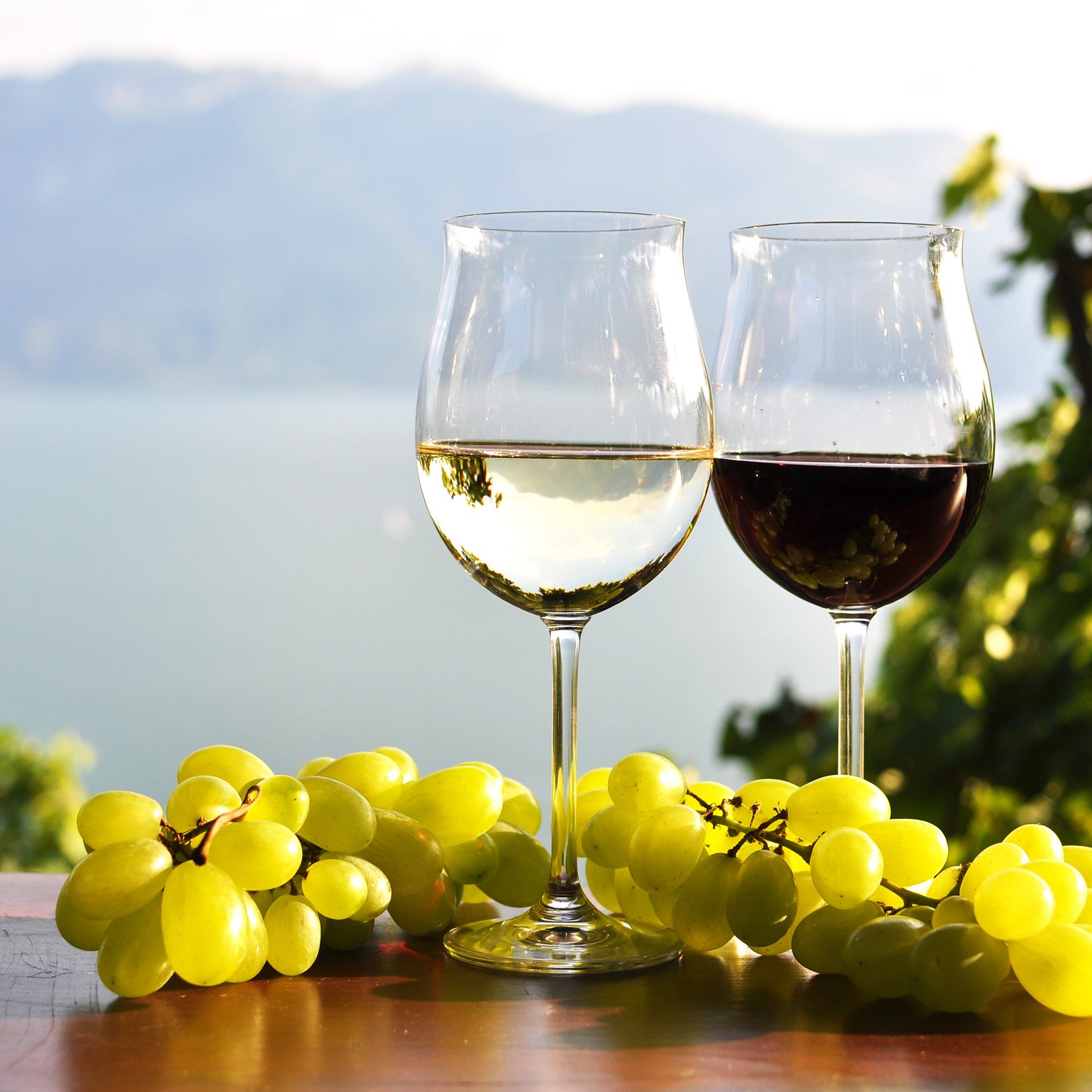 Wein_rot_weiß